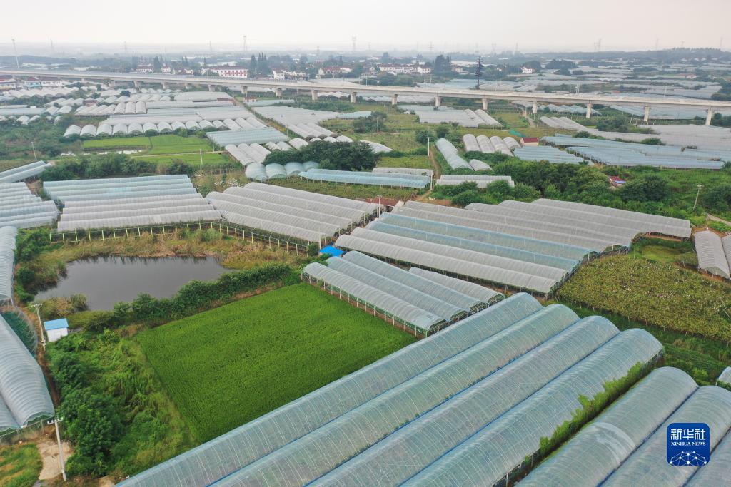兴发登不进去为什么